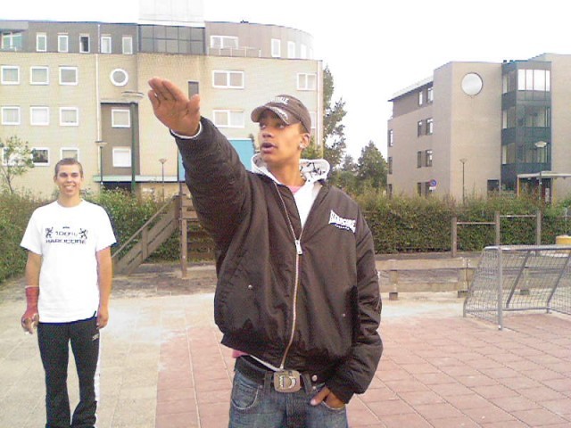 12911790.jpg