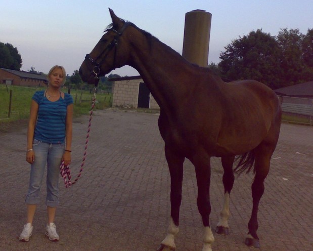Afbeelding
