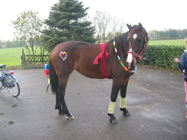 Afbeelding