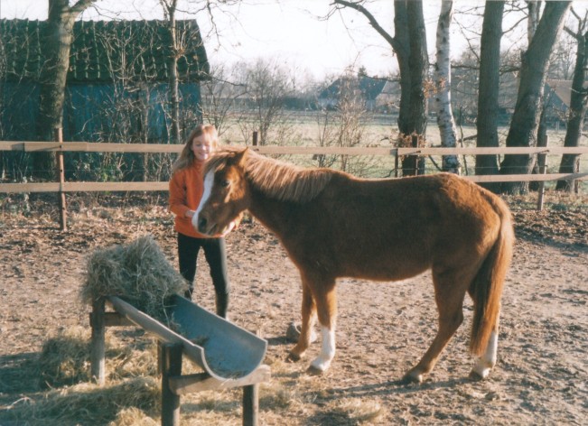 Afbeelding