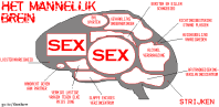 video chat sex mooie vrouwen figuren video chat sex mooie vrouwen figuren