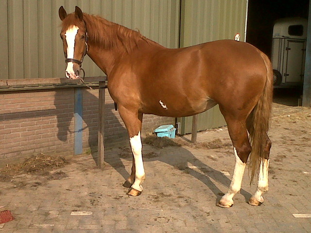 Afbeelding