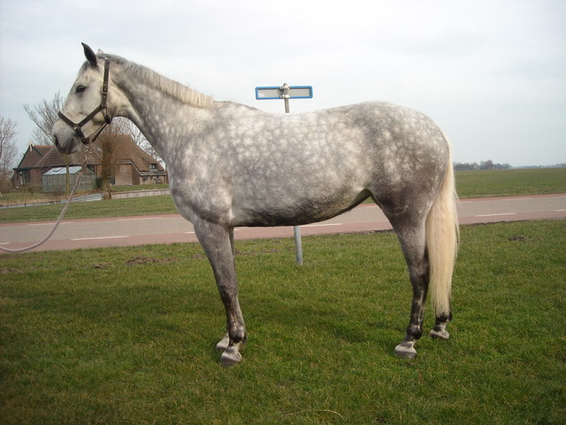Afbeelding