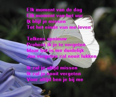 Wonderbaar witte vlinder+mooie tekst · albumelement CK-05