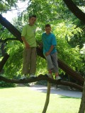 2 Stoere jongens in een boom ;)