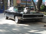 Dodge Charger uit 'The fast and the furious'