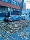directeur auto van school moesten bladeren vegen ( ik mike )
