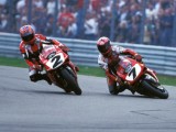Carl Fogarty (2) & Frankie Chili (7) - Ducati 916 - 1998