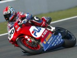 Neil Hodgson - Ducati 999F03 - WSBK 2003