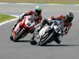 Ruben Xaus (11) & Troy Bayliss (21) - Ducati 999F06 - WSBK 2006
