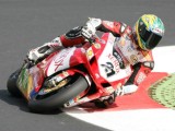 Troy Bayliss - Ducati 999F07 - WSBK 2007