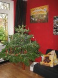 Kerst 2006. Voor het eerst in 5 jaar weer eens een boom :P
