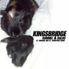 KingsBridge - Dommel & Balou (Tronic B7 Records)