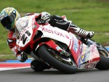 Troy Bayliss - Ducati 1098F08 - WSBK 2008