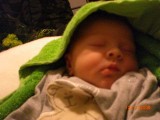Onze zoon Juno (11-11-2008)