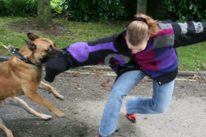 Training of my doggy