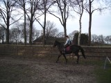 my racing horse