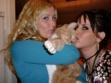 knuffel katje!!