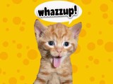 whazzup:P