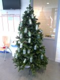 De kerstboom in de personeelsruimte, c1000 drielanden:D