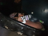 Slapen in een walvisbek met Vin@blijdorp