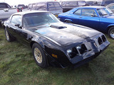 Pontiac Firebird met gouden Bird op de kap