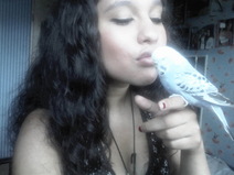 Kiss voor my bird.