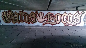 Feyenoord U.D.F Ultras Del Feyenoord