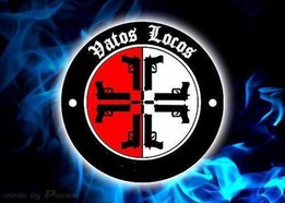 Feyenoord U.D.F Ultras Del Feyenoord