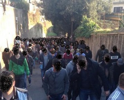 Feyenoord U.D.F Ultras Del Feyenoord