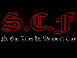 Feyenoord U.D.F Ultras Del Feyenoord