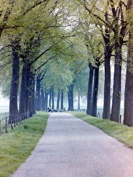 Polderweg - Oud-Vossemeer