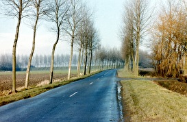 Bram Groenewegeweg met bos - Poortvliet