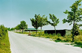Veilingweg - Sint-Annaland