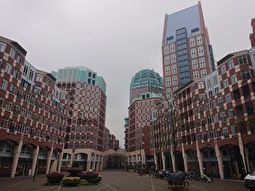 Flat - Den Haag